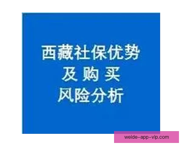 全面分析体育竞猜官网平台优势与风险 提升投资者参与体验与决策智慧